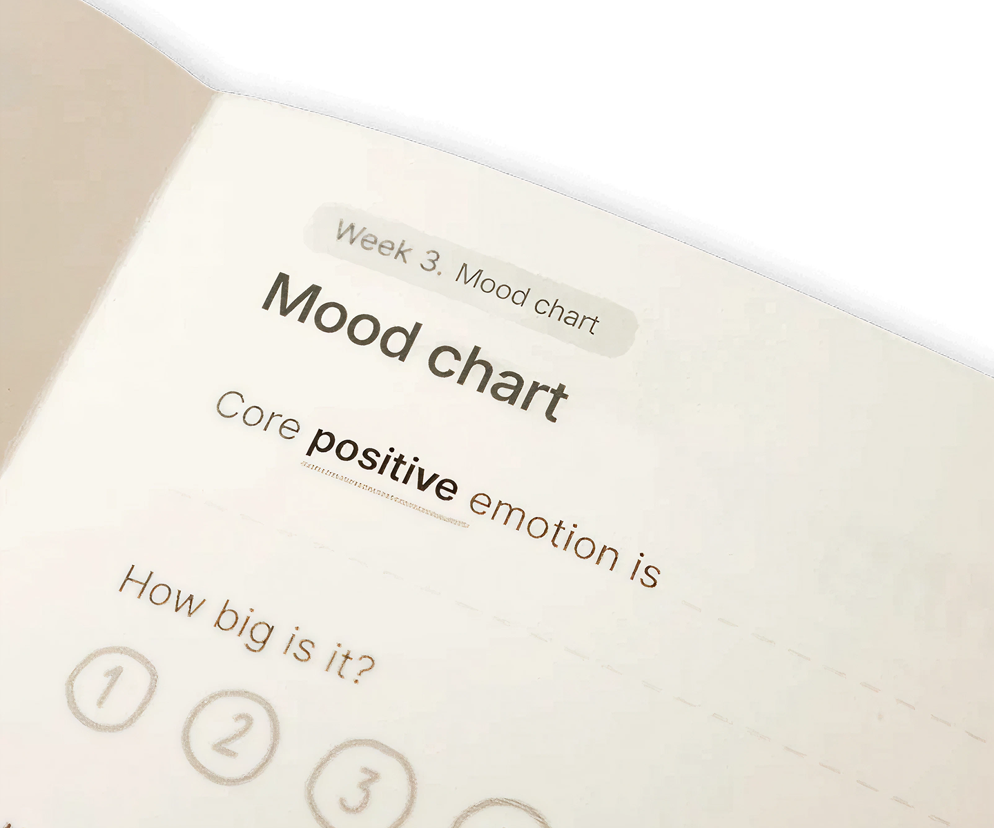 Headway Self-Awareness Journal for Headway users only